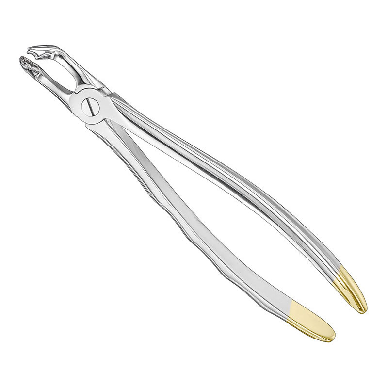Extracting forceps, anat.