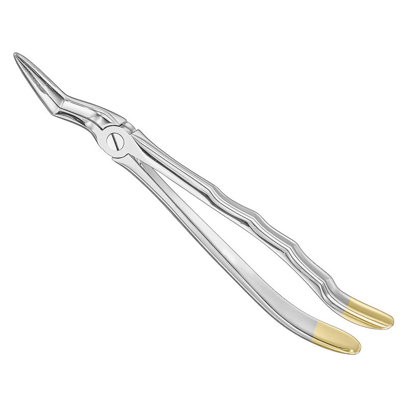 Extracting forceps, anat.