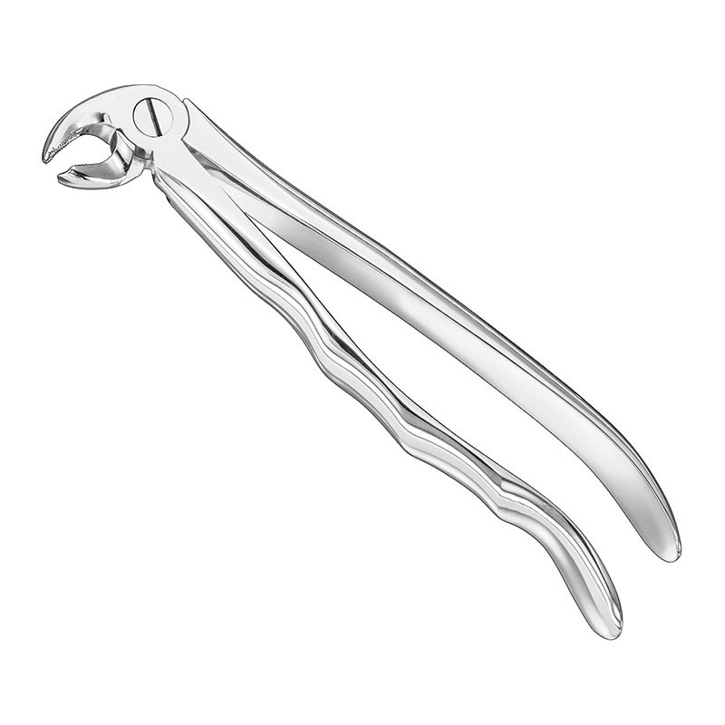 Extracting forceps, anat.