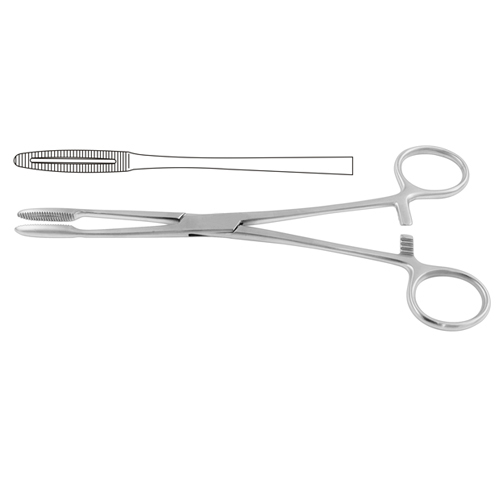 Gross-Maier Dressing Forceps